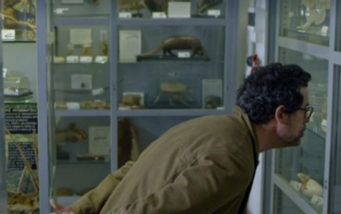 Un Professore al Museo