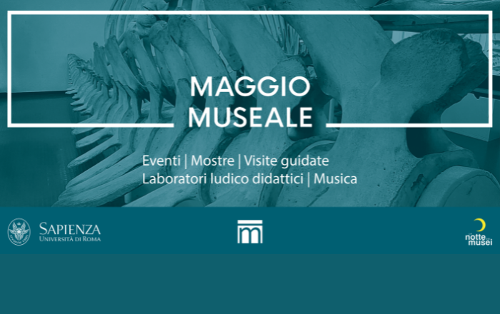 maggio museale 2024