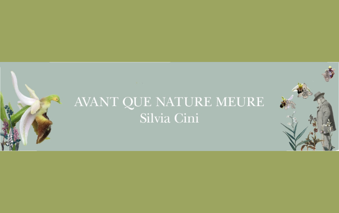 AVANT QUE NATURE MEURE DI SILVIA CINI ALL'ELTE BOTANICAL GARDEN DI BUDAPEST