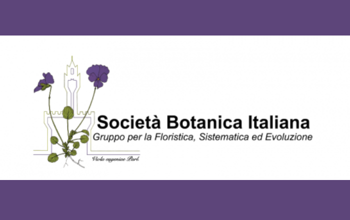 Riunione scientifica SBI