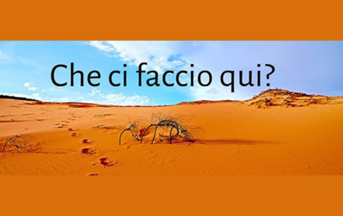 CHE CI FACCIO QUI? - MLAC