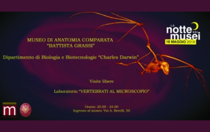 Vertebrati al microscopio