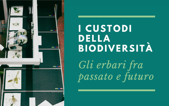 I custodi della biodiversità - Gli erbari fra passato e futuro