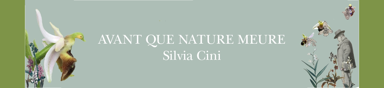 AVANT QUE NATURE MEURE DI SILVIA CINI ALL'ELTE BOTANICAL GARDEN DI BUDAPEST