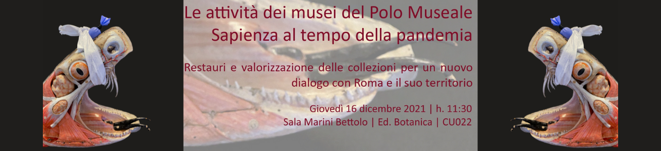 Le attività dei musei del Polo Museale Sapienza al tempo della pandemia