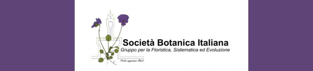 Riunione scientifica SBI