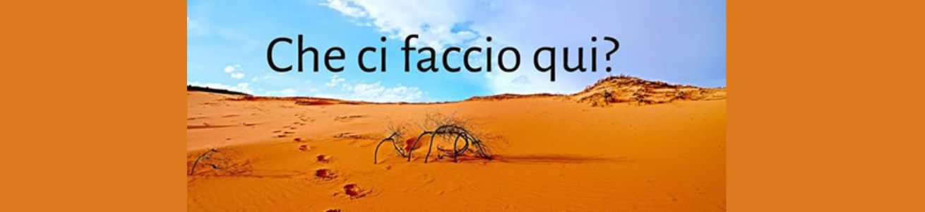 CHE CI FACCIO QUI? - MLAC