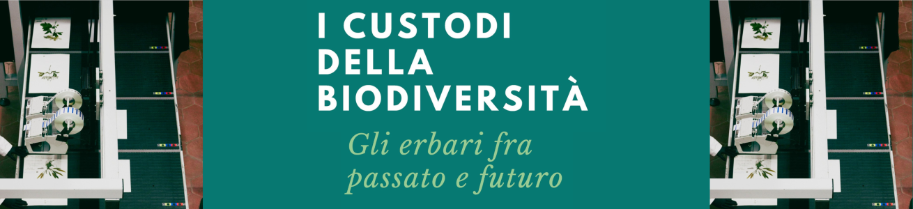I custodi della biodiversità - Gli erbari fra passato e futuro