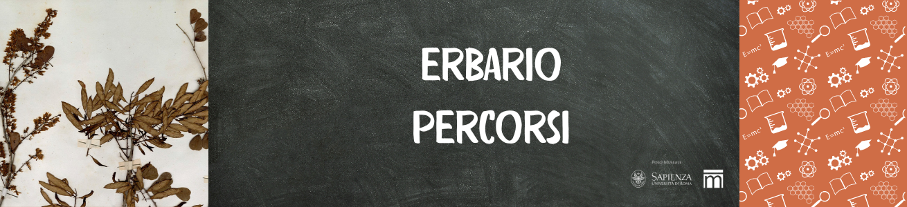 erbario percorsi