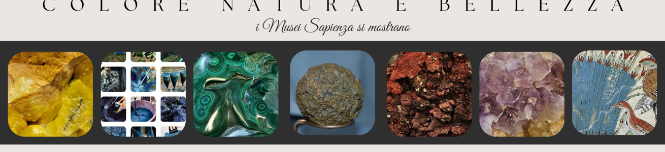 Colore natura e bellezza