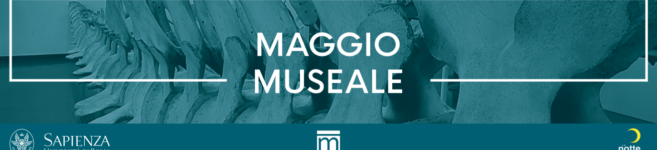 maggio museale 2024